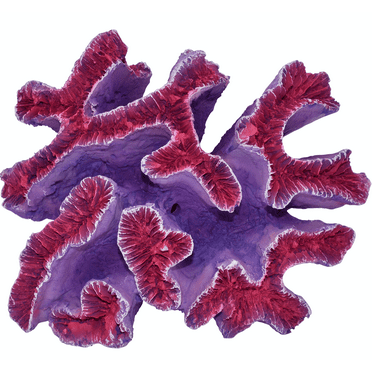 Komodo Curly Pink and Purple Coral Ornament, Aquarium Decor