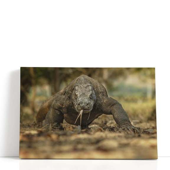 Komodo Dragon in the Beautiful Nature Habitat - Wrapped Canvas Print Wall Art | 18" W x 12" H