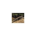 thumbnail image 1 of Pre-Owned Komodo Dragons: On Location (Hardcover) 0688137768 9780688137762, 1 of 1