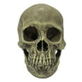 thumbnail image 1 of Komodo Human Skull Full, 1 of 3