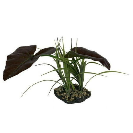 Komodo Rainforest Canopy Terrarium Plant