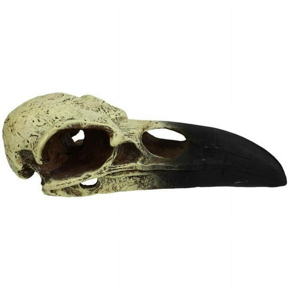 Komodo Raven Skull, Bone and Black Resin, Aquarium Decor