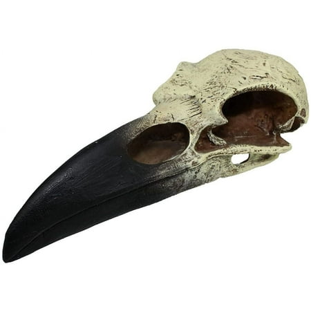 Komodo Raven Skull Terrarium Decoration [Reptile, Hiding Places] Large - 1 count