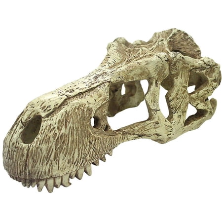 Komodo Reptile T-Rex Skull Terrarium Decoration - Extra Large
