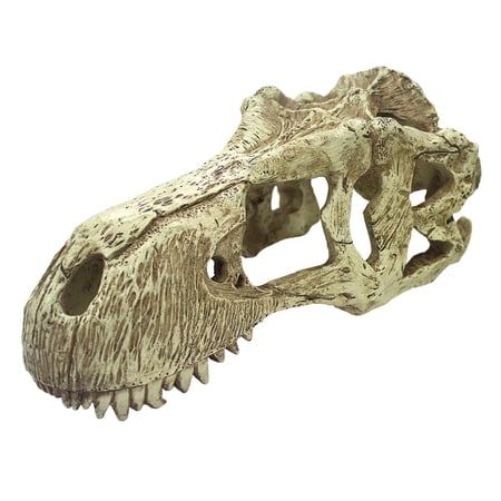 Komodo Extra Large T-Rex Skull, Habitat Décor for Aquarium, Terrarium or Vivarium Tank