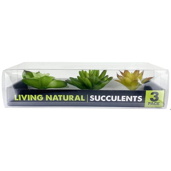 Komodo Succulent Plant Habitat Ornaments [Reptile, Decorations] 3 count