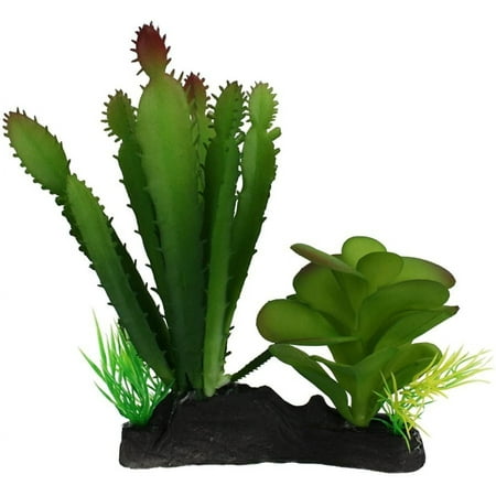 Komodo Succulent and Cactus Habitat Ornament [Reptile, Decorations] 1 count