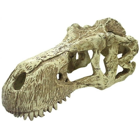 Komodo T-Rex Skull Terrarium Decoration [Reptile, Decorations] X-Large - 1 count
