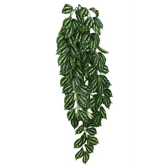 Komodo Two-Tone Hanging Vine Terrarium Plant - Realistic Artificial Plant for Reptile Habitat Enrichment