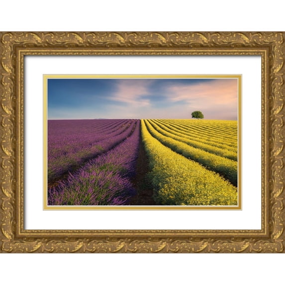 Komovec, Ales 18x13 Gold Ornate Wood Framed with Double Matting Museum Art Print Titled - Violyellow