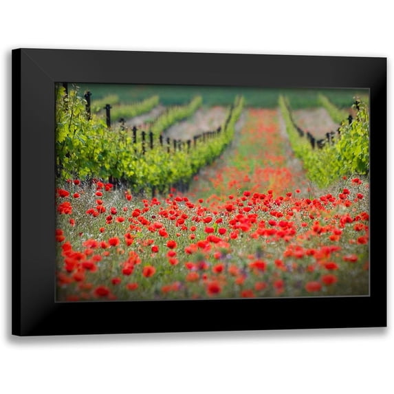Komovec, Ales 24x18 Black Modern Framed Museum Art Print Titled - Red District