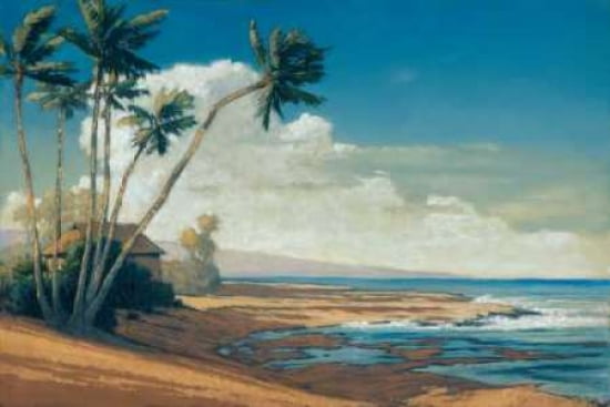 Kona Coast I Canvas Art - Allan Stephenson (12 x 18)