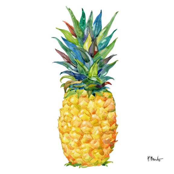 Kona Pineapple III Poster Print - Paul Brent (24 x 24)