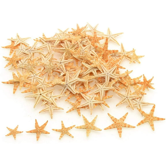 Konexial 90PCS 0.4"-1.2" Small Starfish Star Sea Shell Beach Crafts Decor (Yellow)