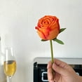 thumbnail image 1 of Konghyp Artificial Flowers, Decorative Roses, Home Decoration, Valentine's Day Gifts, Versatile Floral Arrangements, Durable and Easy to Maintain, 1 of 6