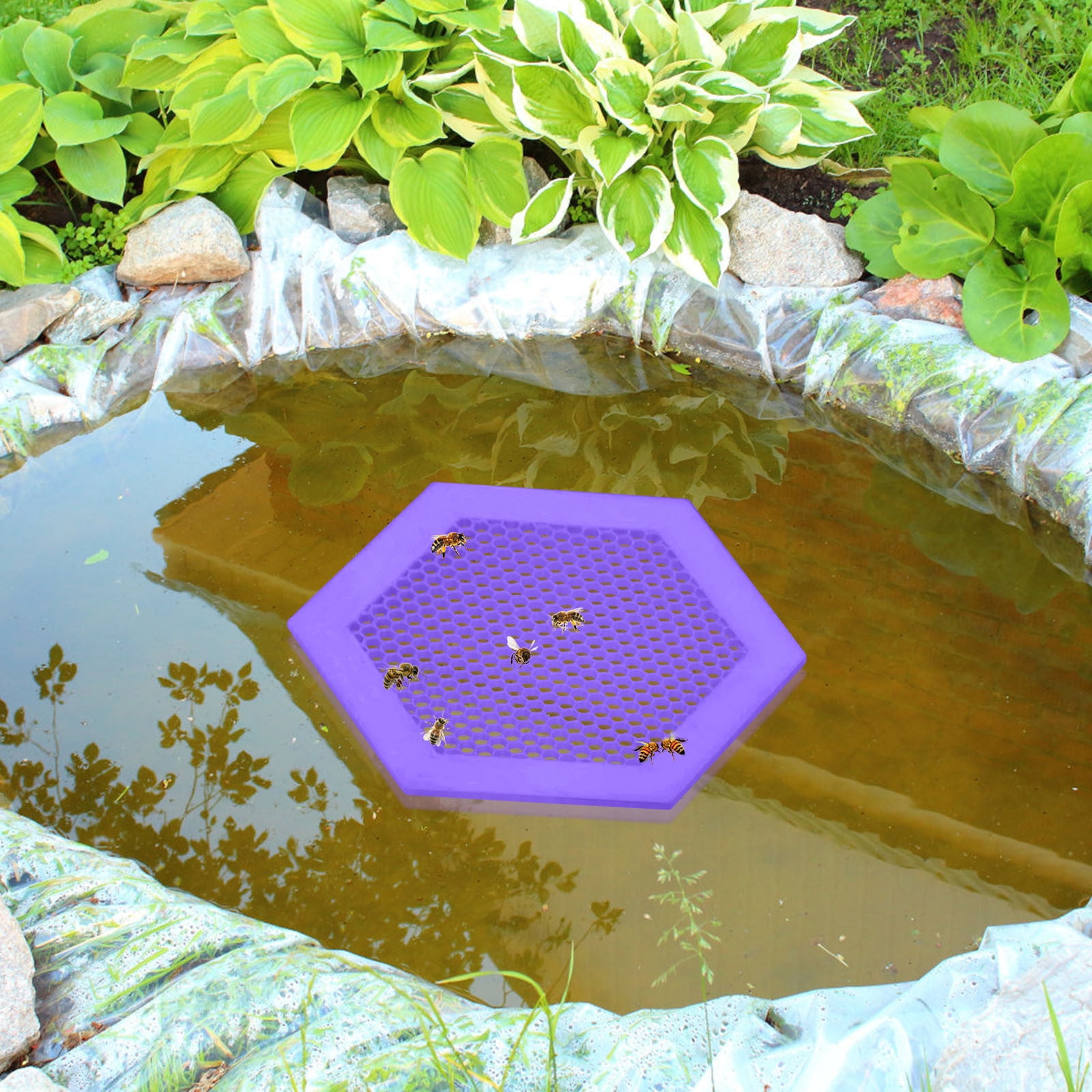 Konghyp Bee Drinking Tray Acrylic Water Dispenser Provide Hydration