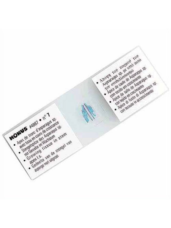 Prepared Slides for Konus Kids Microscopes, Set of 10, Pathological Tissues, Part 2
