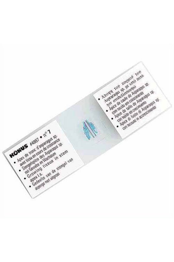 Prepared Slides for Konus Kids Microscopes, Set of 10, Pathological Tissues, Part 2