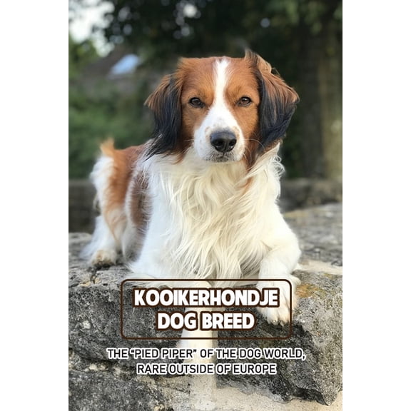 Kooikerhondje Dog Breed: The "Pied Piper" of The Dog World, Rare Outside of Europe: Kooikerhondje Breed Inform, (Paperback)