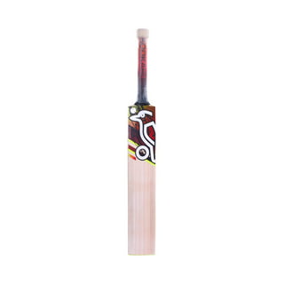 SM Kashmir Willow Cricket Kit - Big Value Shop