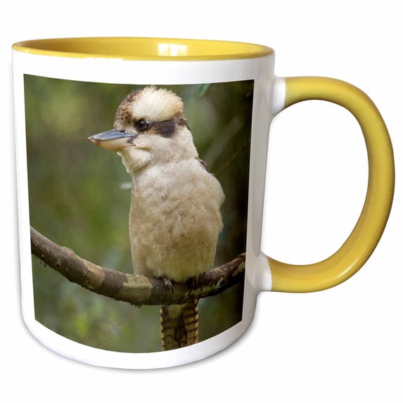 3drose, Kookaburra Bird, Tasmania, Australia-au01 Rja0020 - Rebecca Jackrel, 11oz Two-tone Yellow Mug