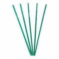 thumbnail image 1 of Kool Products Pack of 100 Skewers 8.66" Inch with Ribs, Premium Cocktail Picks - Barbecue Stick. Decoration for Party Food, Appetizer, Dessert, Fruit, Sausage, Burger, Prawn, Kebab (Green), 1 of 3