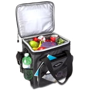 Koolatron 12V Electric Cooler Bag, 13L (14qt), Thermoelectric Soft Bag Cooler, 12 Volt DC Connection, Foldable Storage, Plug In Iceless Portable Fridge, For Work Travel Picnic Vehicle Car, Gray/Black