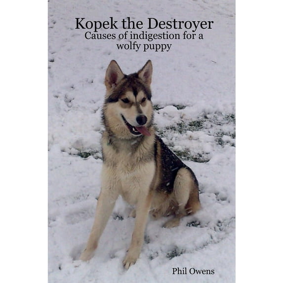 Kopek the Destroyer, (Paperback)
