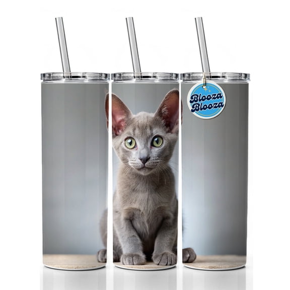 Korat Cat Kitten Photo 20oz Insulated Water Bottle Skinny Tumbler Includes Straw