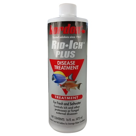 Kordon Rid Ich Plus Disease Treatment for Fresh and Saltwater, 16 fl oz.
