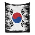 thumbnail image 1 of Korean Flag Soft Flannel Fleece Throw Blanket, Illustration of Country, Cozy Plush for Indoor and Outdoor Use, 50" x 60", Khaki Caramel, by Ambesonne, 1 of 5