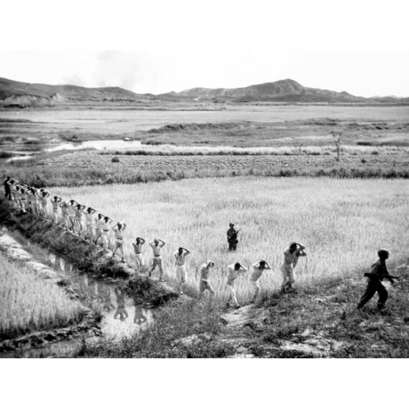 Korean War U.S. Marines Taking North Koreaan Soldiers Prisoner History (24 x 18)