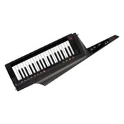 Korg RK-100S 2 37-Keys Keytar Controller Keyboard and Modeling Synthesizer, Translucent Black