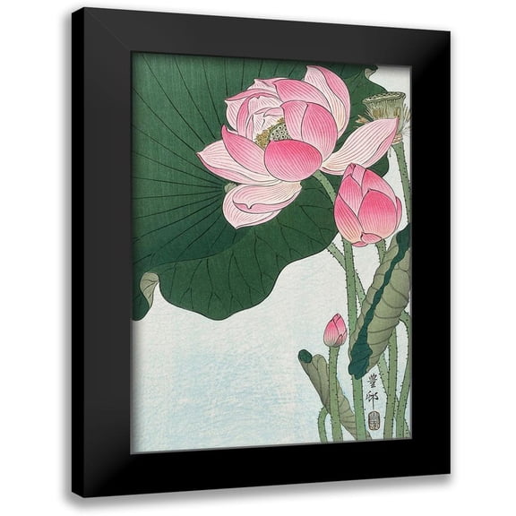 Koson, Ohara 11x14 Black Modern Framed Museum Art Print Titled - Blooming lotus flowers