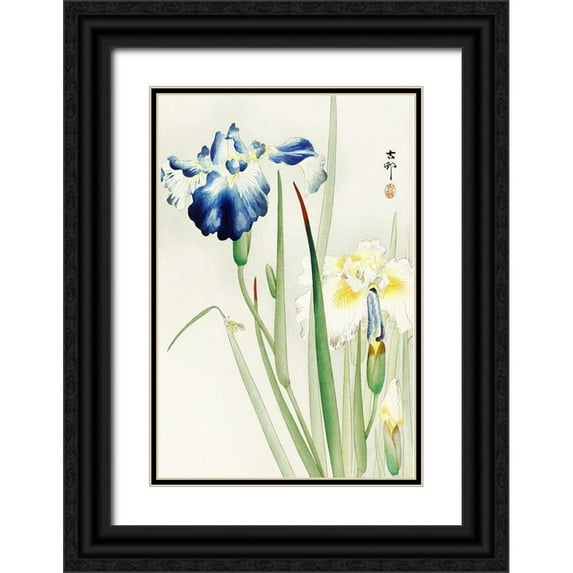 Koson, Ohara 11x14 Black Ornate Wood Framed with Double Matting Museum Art Print Titled - Irises