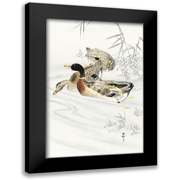 Koson, Ohara 13x18 Black Modern Framed Museum Art Print Titled - Three ducks in shallow water with reeds