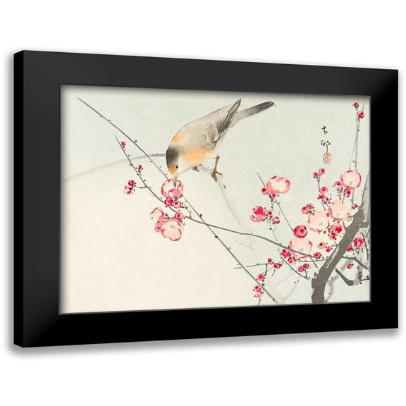 Koson, Ohara 14x12 Black Modern Framed Museum Art Print Titled - Songbird on blossom Branch