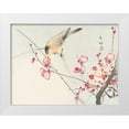 thumbnail image 1 of Koson, Ohara 18x15 White Modern Wood Framed Museum Art Print Titled - Songbird on blossom Branch, 1 of 4