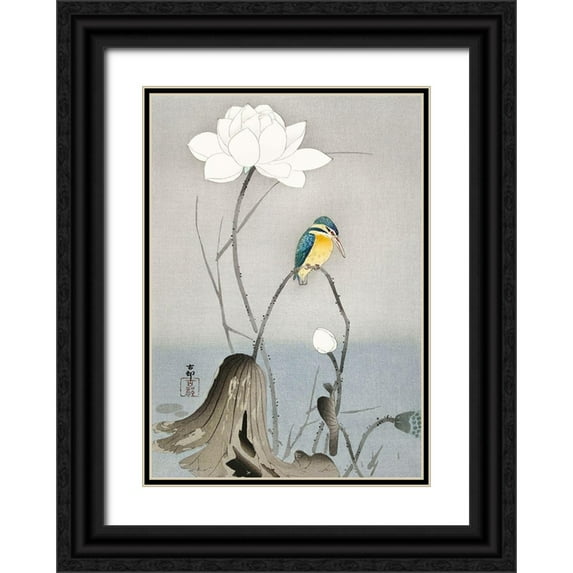 Koson, Ohara 24x32 Black Ornate Wood Framed with Double Matting Museum Art Print Titled - Kingfisher with Lotus Flower