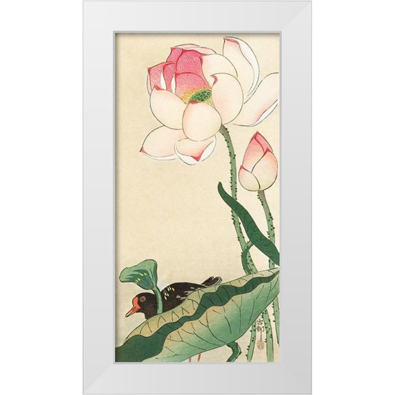 Koson, Ohara 9x14 White Modern Wood Framed Museum Art Print Titled - Lotus Flowers