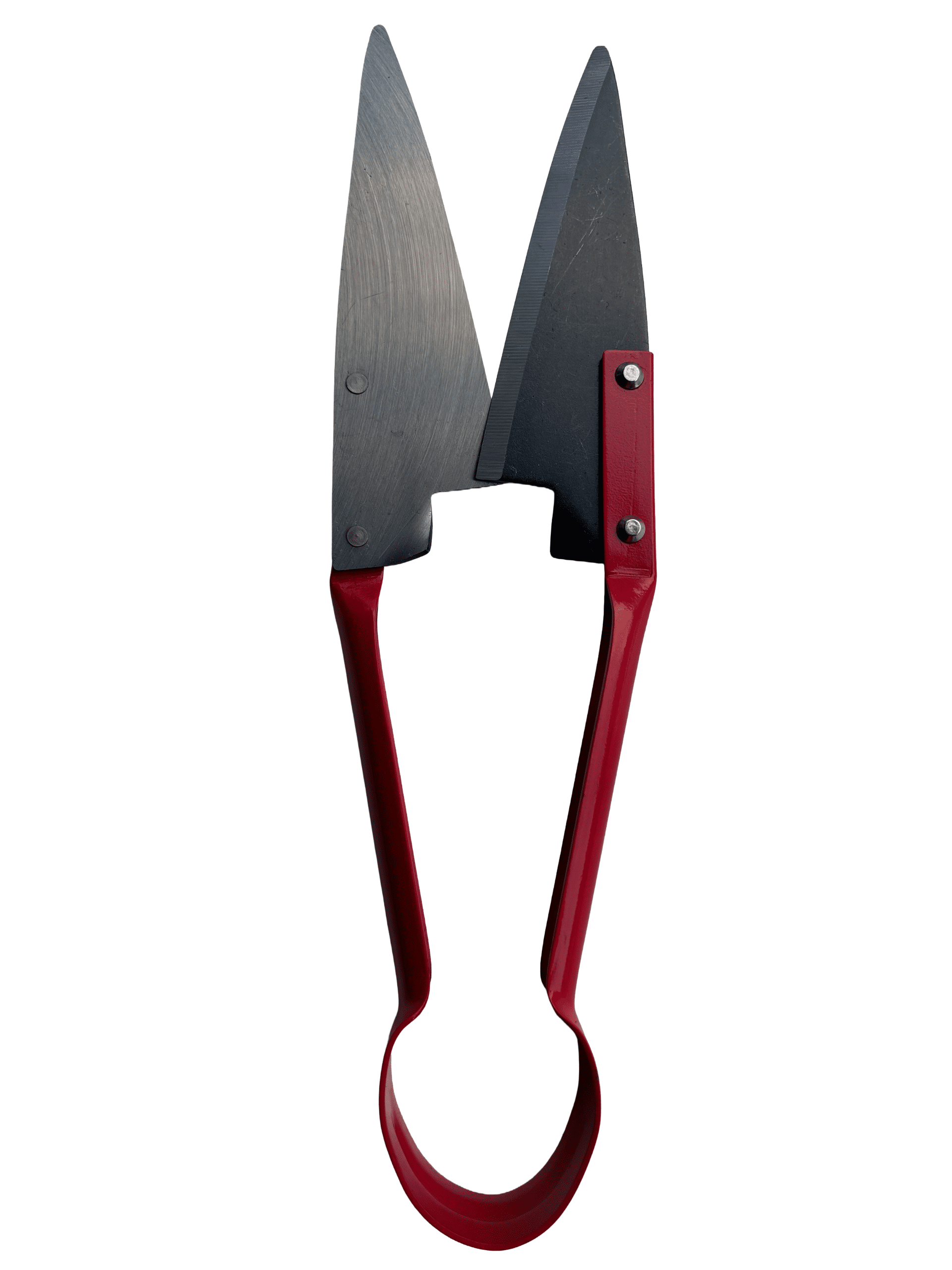 Kotake Shokai Wool Shears