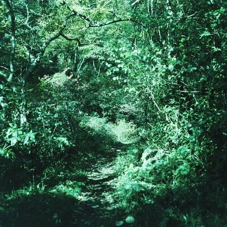 Kotonoha [LP] - VINYL