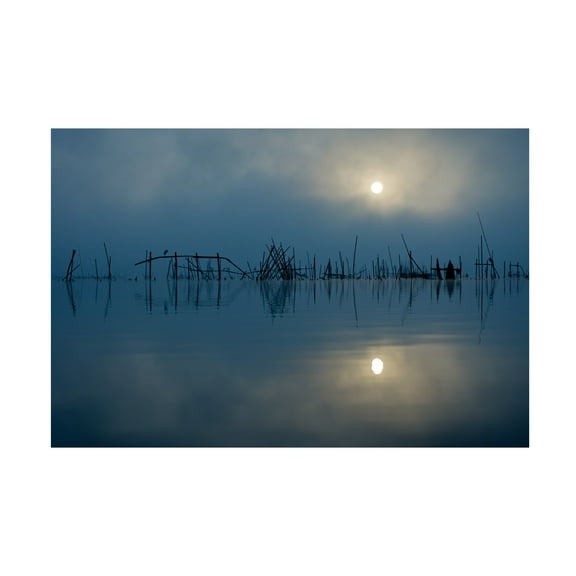 Kouji Tomihisa 'Blue Sun' Canvas Art