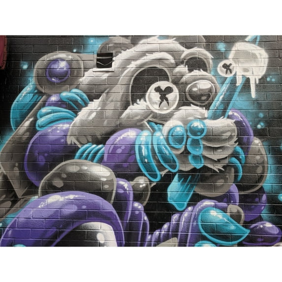 Koumu Abstract Furry Animal New York Graffiti Photograph Extra Large Art Print Wall Mural Poster Premium XL