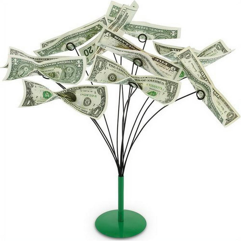 Money best sale tree gift
