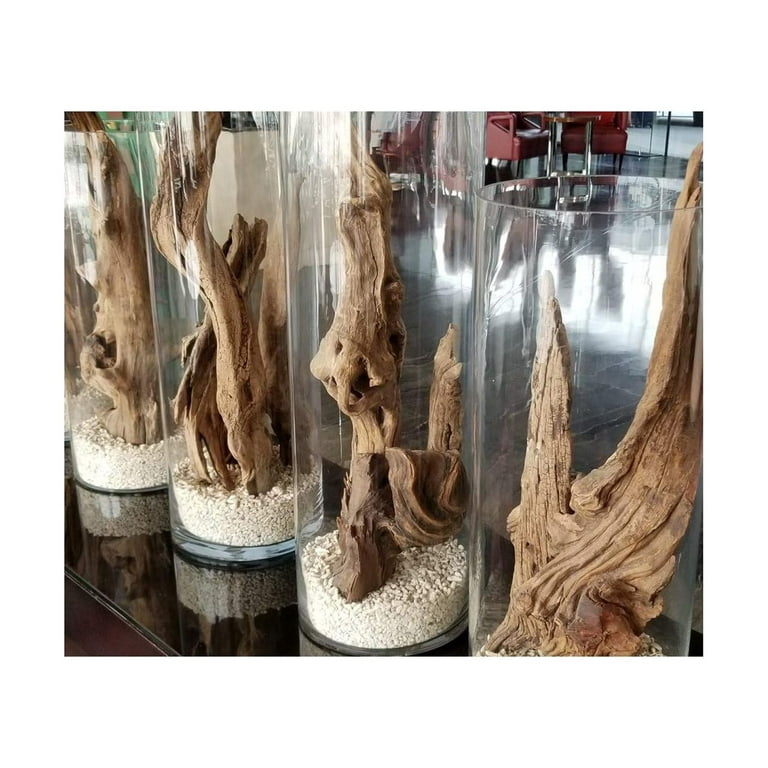 CALIFORNIA DRIFTWOOD / GHOSTWOOD – Floral Props and Design