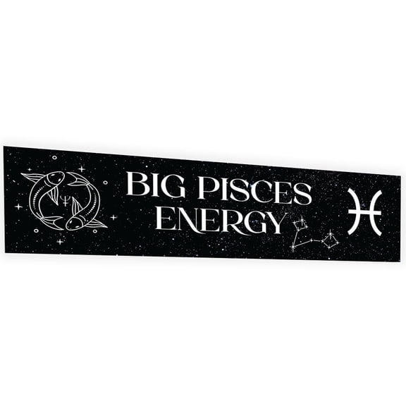 Koyal Wholesale 13x48 Inch Pisces Birthday Banner, Big Pisces Energy Zodiac Party Decor