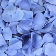 thumbnail image 1 of Koyal Wholesale 200-Pack Silk Rose Petals, Royal Blue, 1 of 7