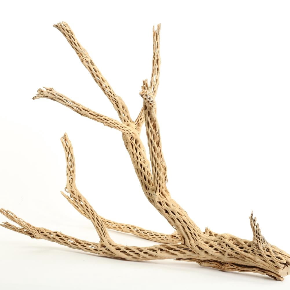 Koyal Wholesale 24" Cholla Wood Aquarium Driftwood for Gecko, Hermit Crab & Shrimp