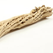 Koyal Wholesale Cholla Wood 6-Inch, Aquarium Branches, Airplants Decor, Reptile Perch, Natural Home Decoration